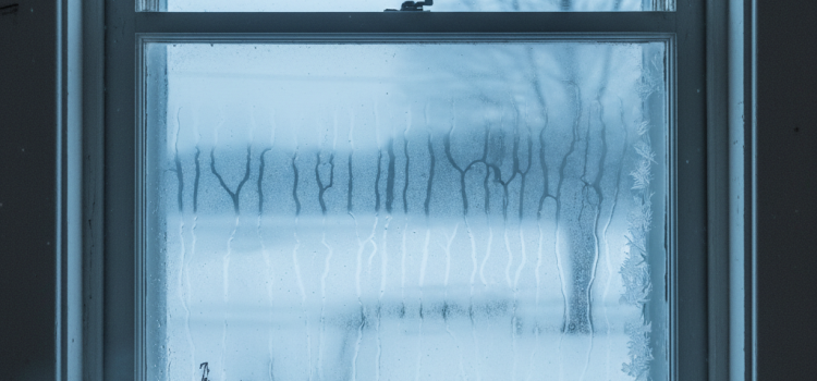 maprimerenov-fenetre-2026-loire-2025